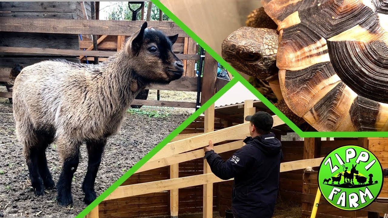 FarmNapló 1.rész