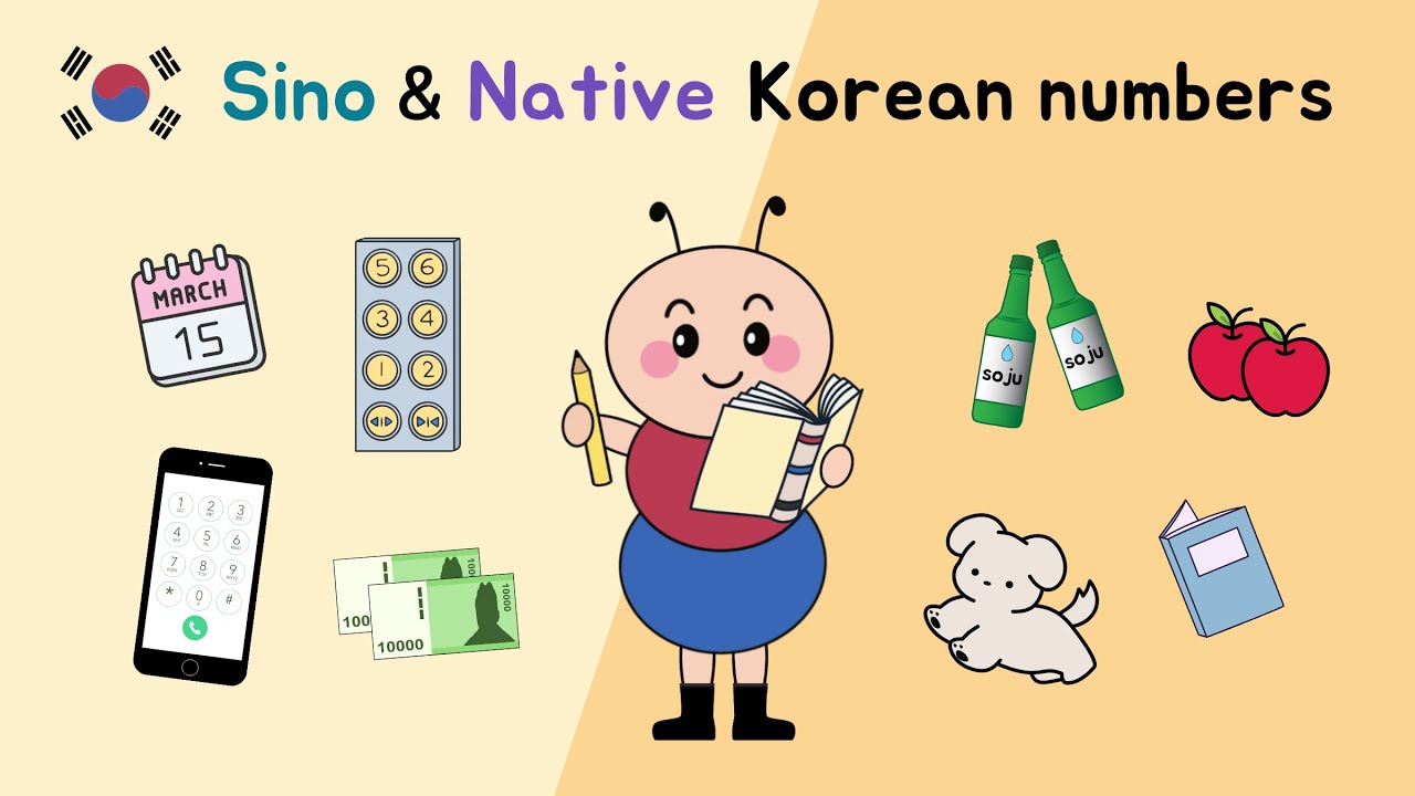 🇰🇷 Let’s Learn Korean Numbers: Native vs Sino-Korean!
