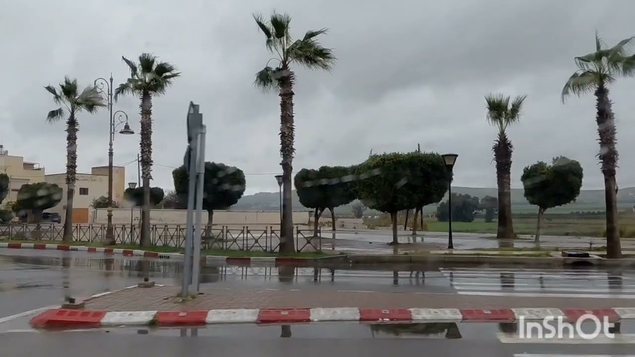 حقائق يكشفها الاستاذ الصوفي 👍 ما تخفيه الشهادة الطبية وتخطيط البقة بعد الكواليس لي وصلتها 😱