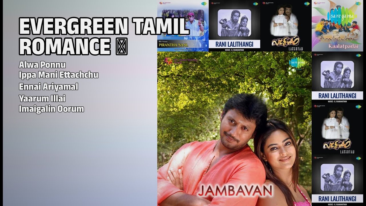 Love & Vibe Tamil Hits 💖 | Alwa Ponnu to Imaigalin Oorum