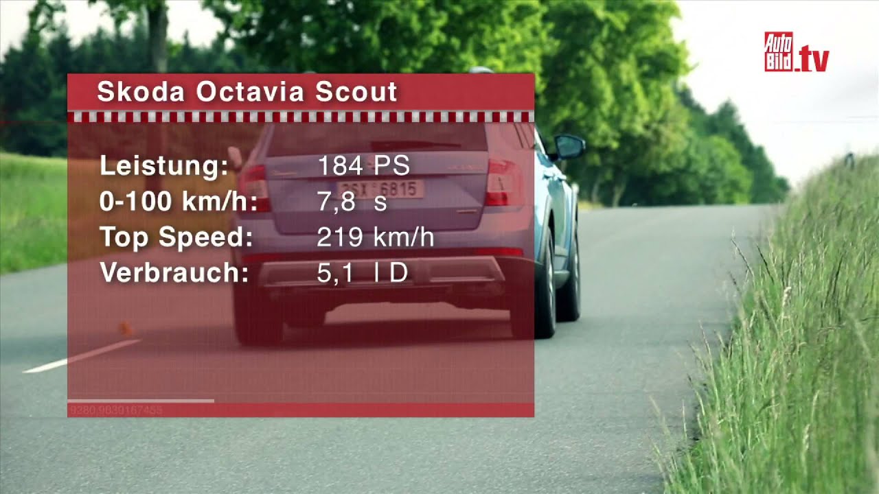Skoda Octavia Scout (2014) - Der Abenteuer Kombi