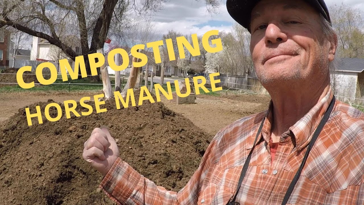 Composting Horse Manure (Excellent Garden Soil Amendment)