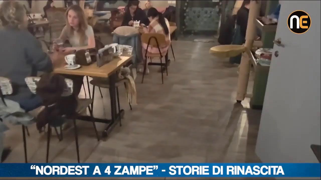 “Nordest a 4 Zampe”: live da Martignacco, al 