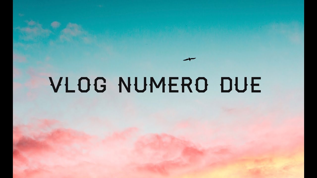 vlog numero due