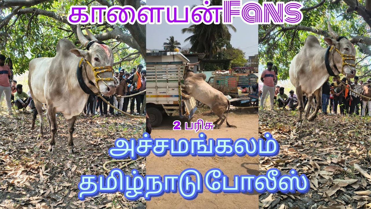 2🥈 பரிசு அச்சமங்கலம் தமிழ்நாடு போலீஸ் வெளி ஓட்டம்கூரம்பட்டி கிராமத்தில் 