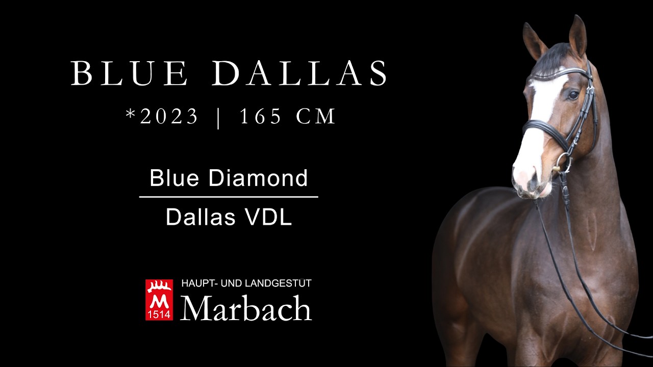 Blue Dallas *2023 v. Blue Diamond - Dallas VDL
