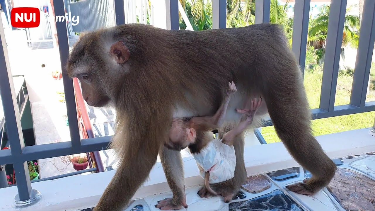 Nui and her daughter Poni wish everyone a good morning | Nui Family
