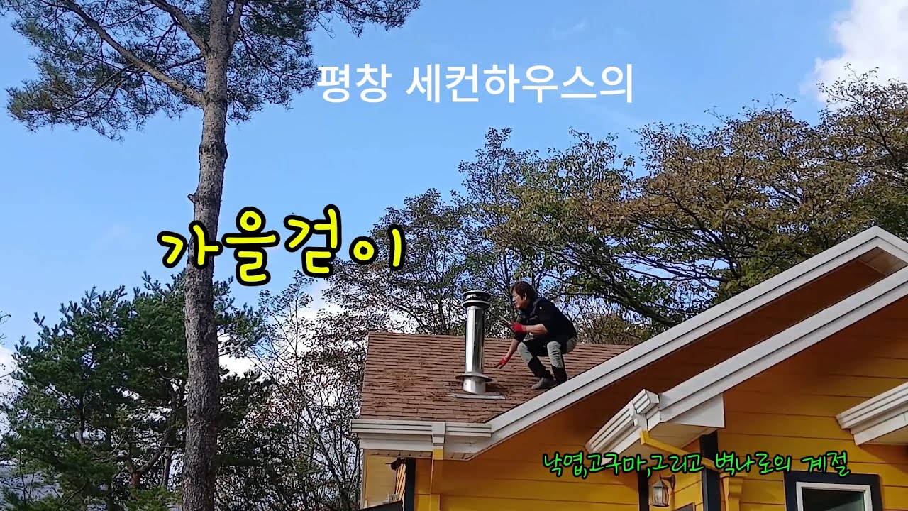 부부의 평창 세컨하우스  가을하루/ 마당쓸고/고구마캐고 굴뚝 청소까지