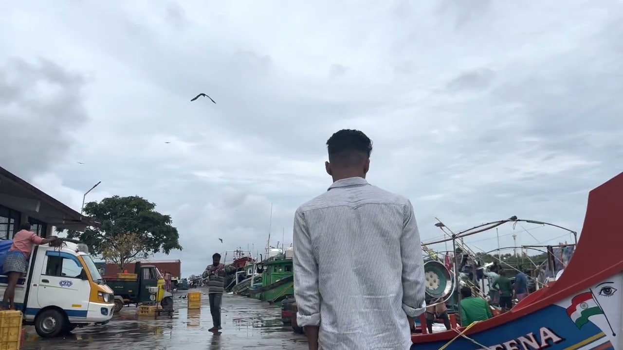 kochi, harbour | cinematic video |