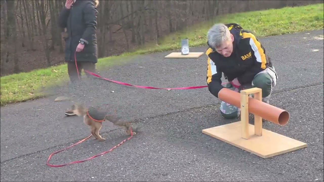 Lernen am Modell - Lernen durch Vorbild