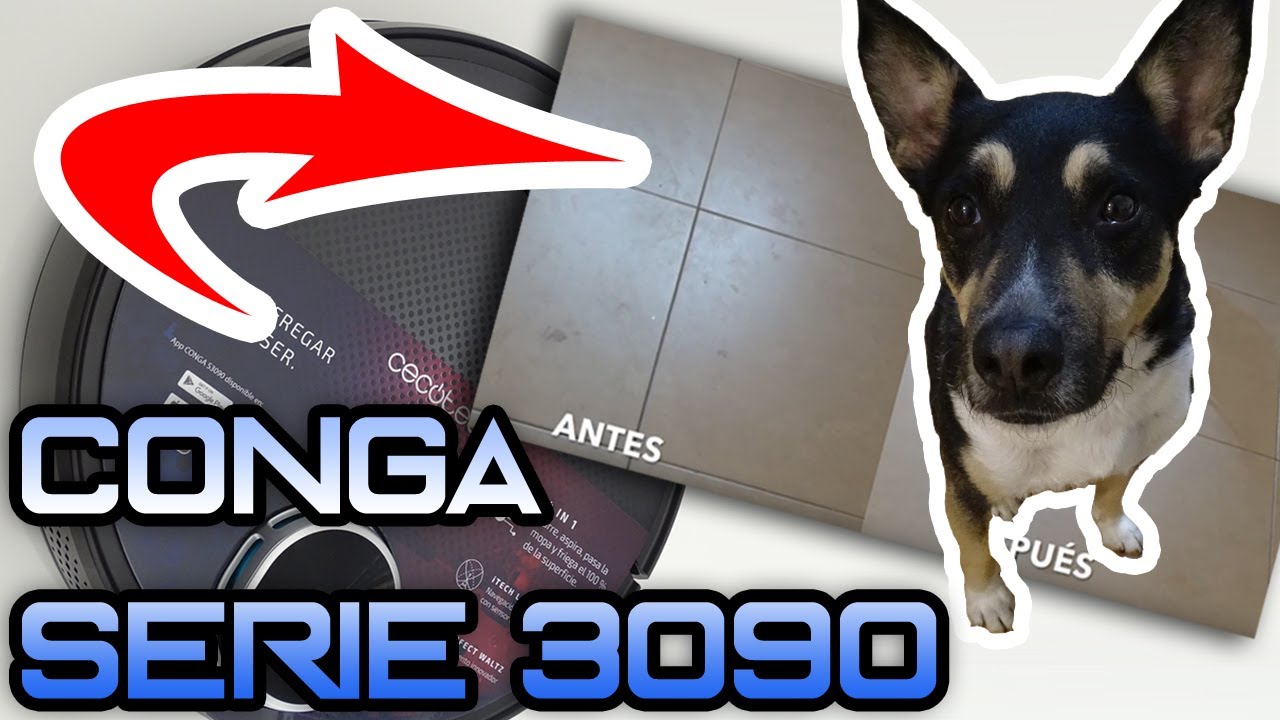🥇🥇 CONGA 3090 Fregando Patas de Perro ▶ Opiniones y Prueba Completa ▋