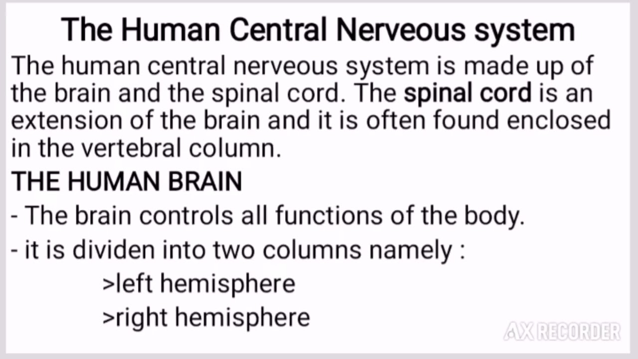 The Central Nervous System | MSCE Biology book 4