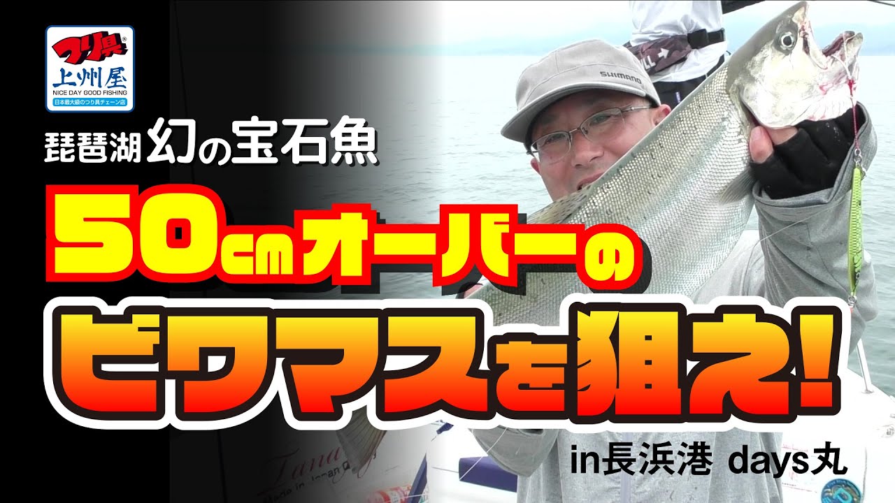琵琶湖の幻の魚　大型ビワマスをジギング＆トローリングで狙え！