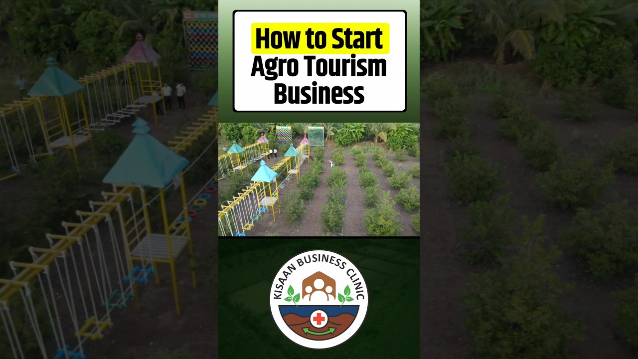 How to Start Agro Tourism Business in August #businessideas #agriculture #agrotourisminformation