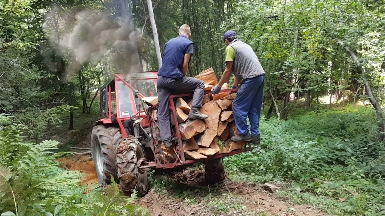 international 745-S u šumi logging