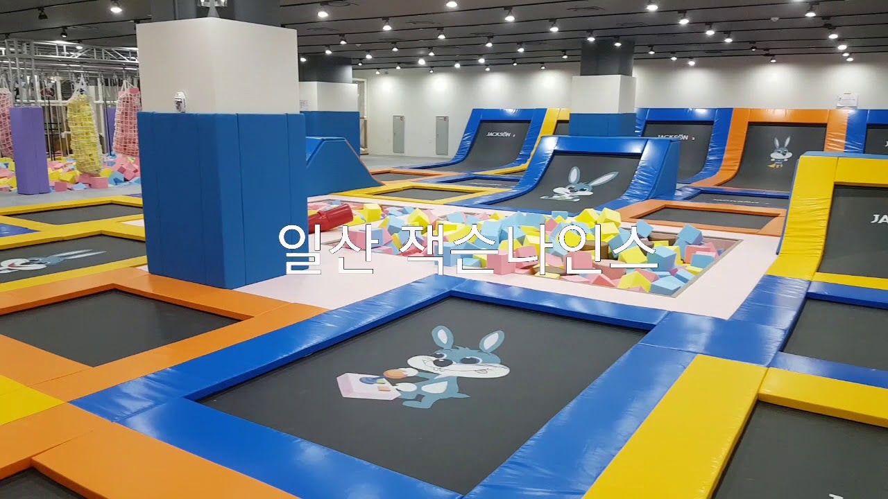 일산 잭슨나인스