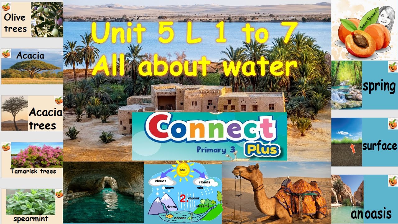 Connect plus 3 U5 L1 to 7 🌴🐪🌵🌊🌲 All about water Teacher's guide flashcards حصريا نصوص أستماع الوزارة