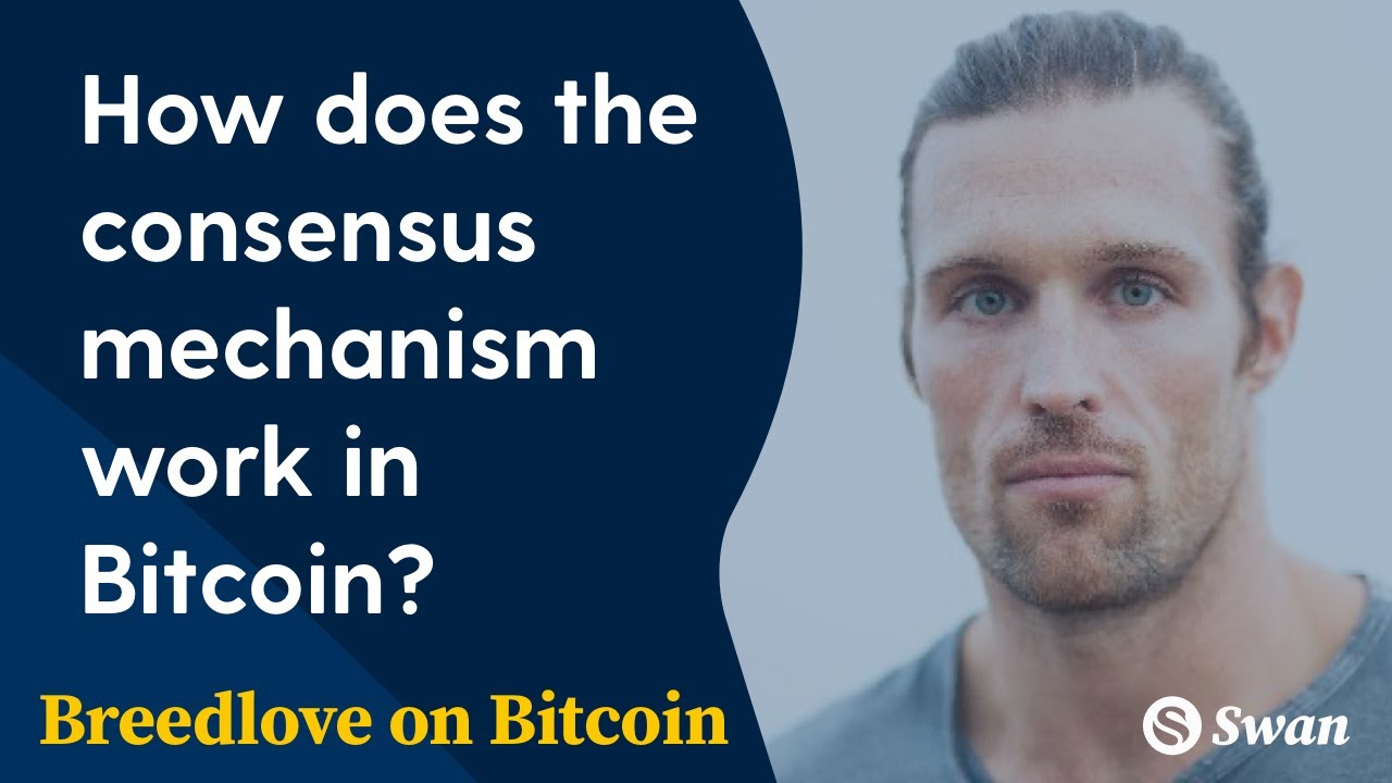 How does the consensus mechanism work in Bitcoin? - Breedlove on Bitcoin
