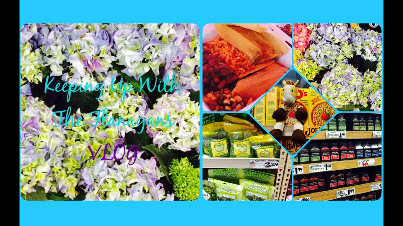 Trader Joes Haul! | Weight Update | KUWTF VLOG July 24 - 29th 2016