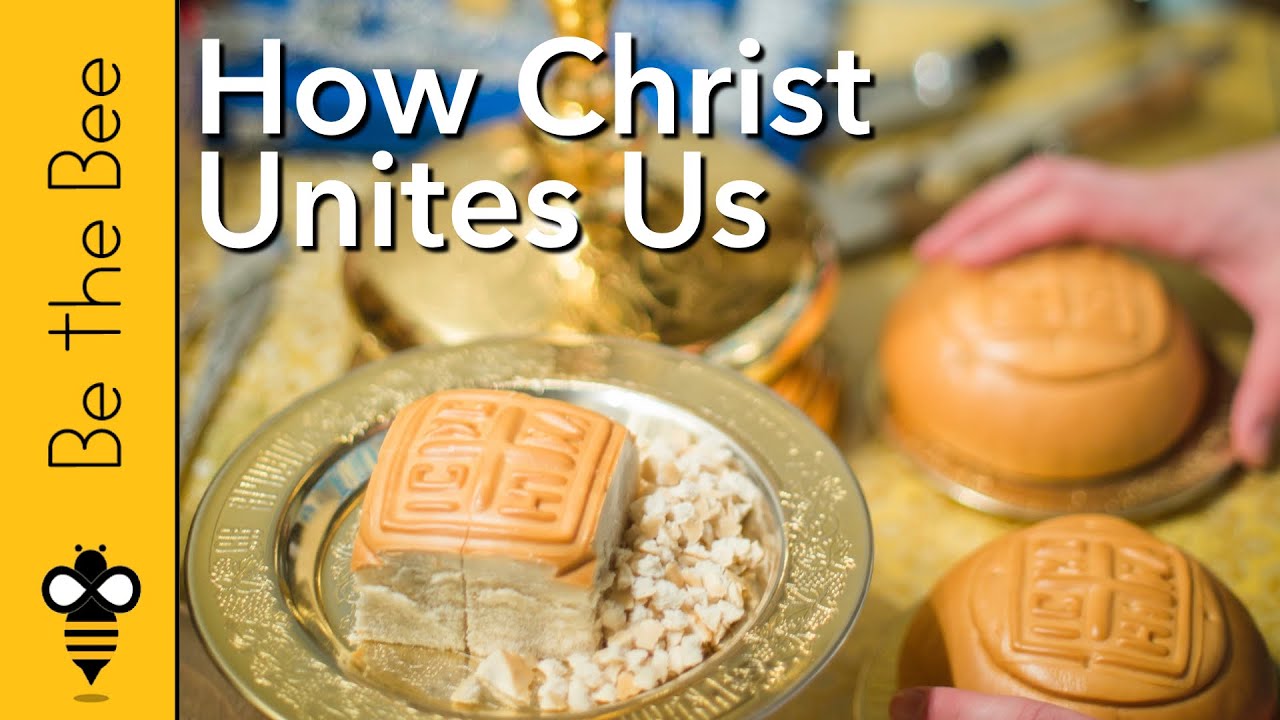 Be the Bee # 90 | How Christ Unites Us
