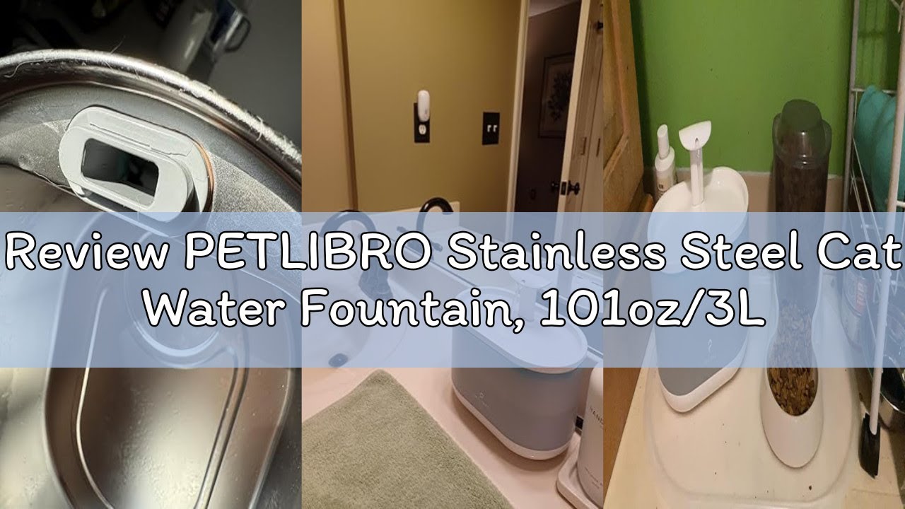 Review PETLIBRO Stainless Steel Cat Water Fountain, 101oz/3L Pet Water Fountain for Cats Inside, Foo