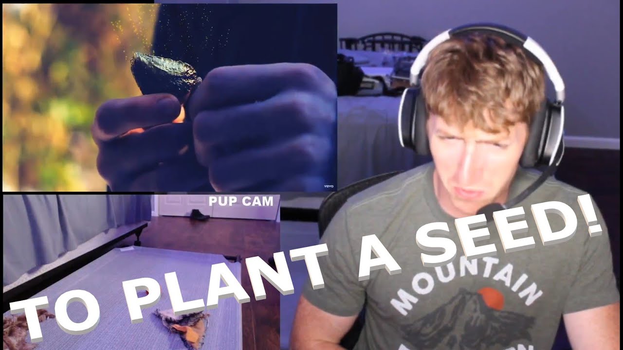 Chris REACTS to We Came As Romans - To Plant A Seed