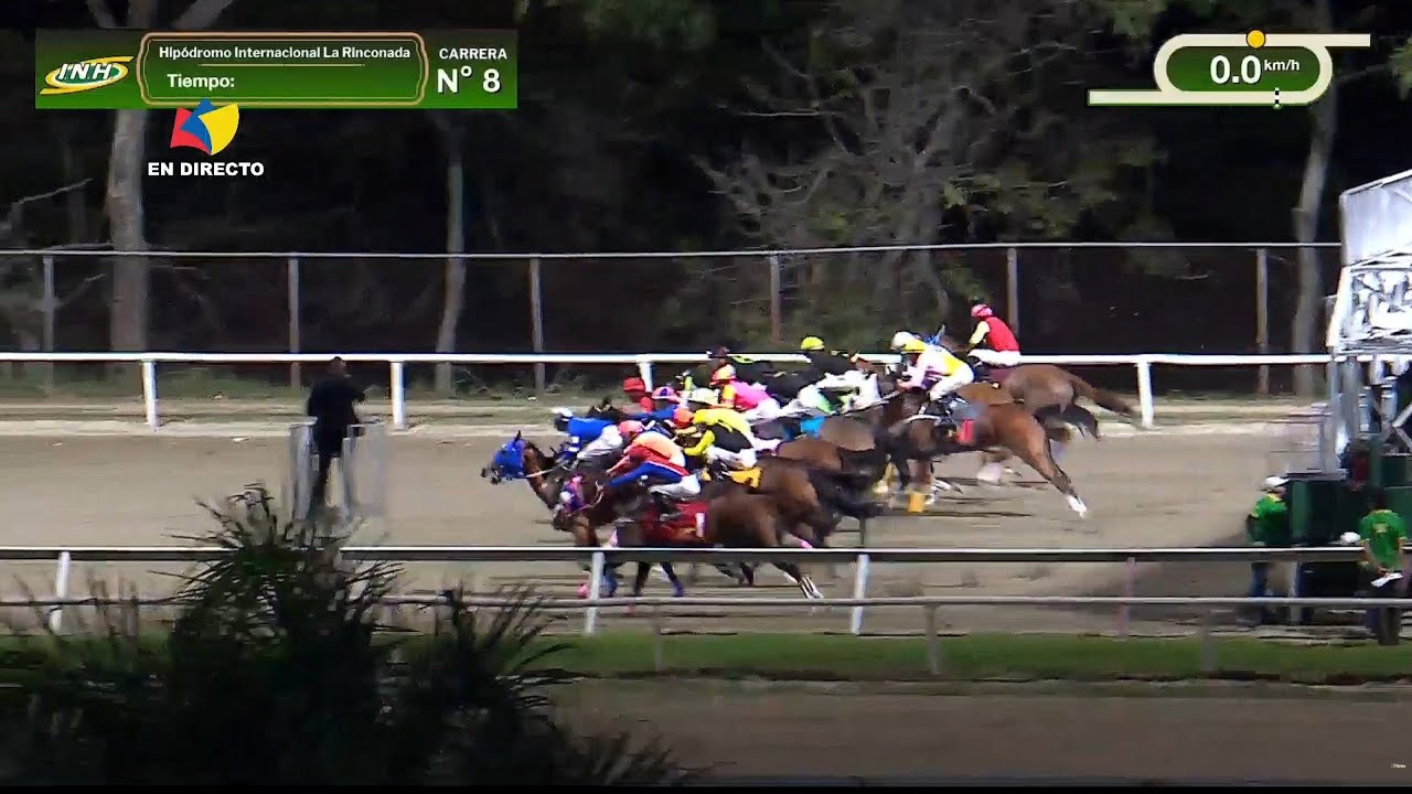8ª. carrera | 6ª. válida | MAJESTIC SHOT | Hipódromo La Rinconada | Reunión 01 | 2026