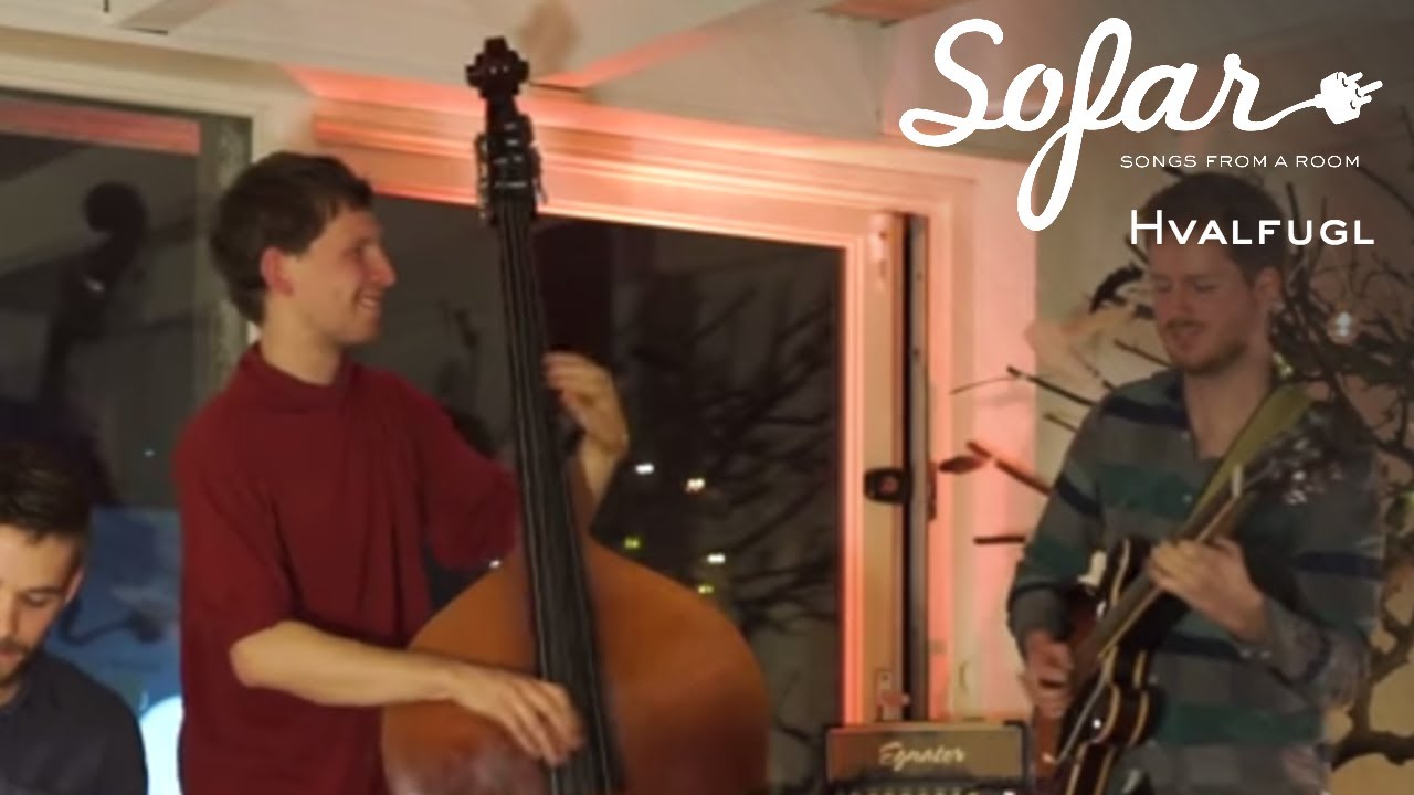 Hvalfugl - M&auml;sk | Sofar Aarhus