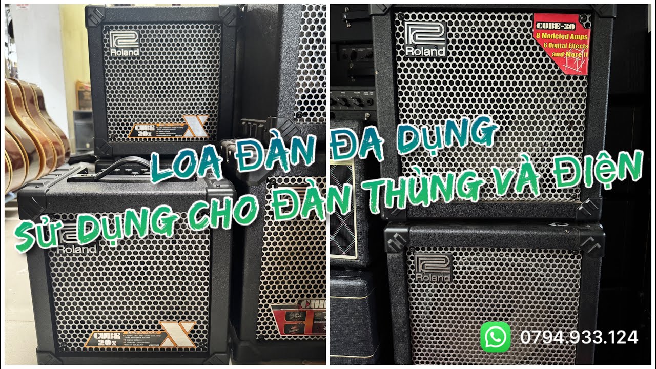 Loa Đàn Đa Dụng Chơi Được Đàn Điện và Đàn Thùng