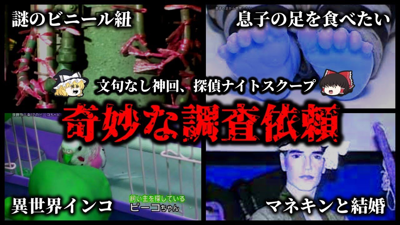 【神回】探偵ナイトスクープの奇妙な調査依頼10選【ゆっくり解説】