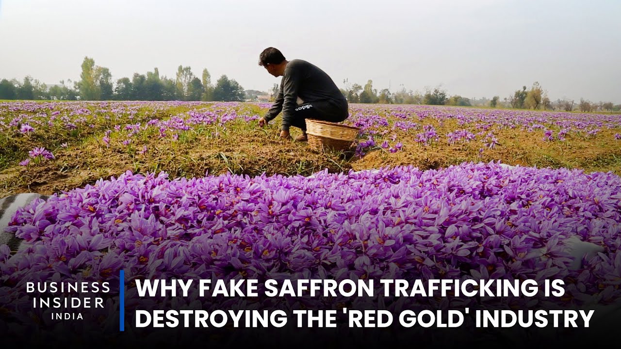 Why Fake Saffron Trafficking Is Destroying The 'Red Gold' Industry | Big Business