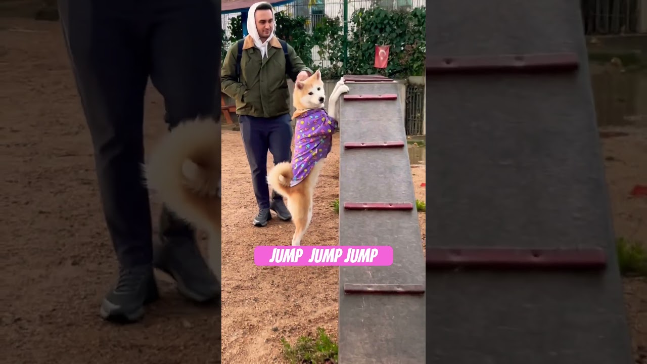 Who said you have to walk on the board when jumping is easier? 