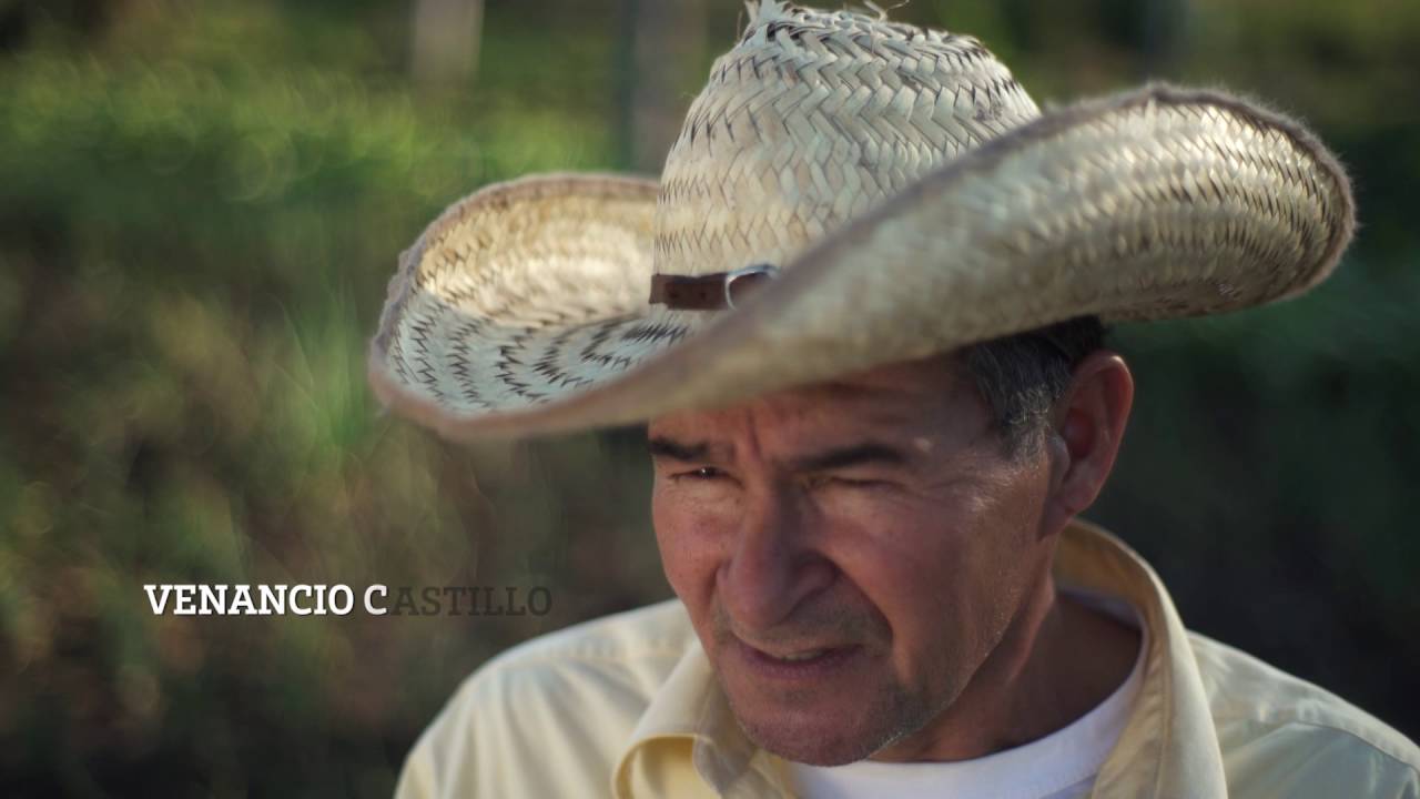 DOCUMENTAL PAIPPA 20 AÑOS