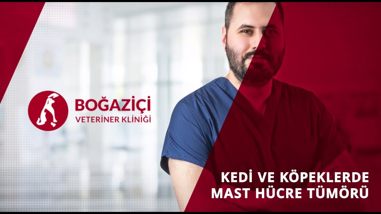 Kedi ve Köpeklerde Mast Hücre Tümörü