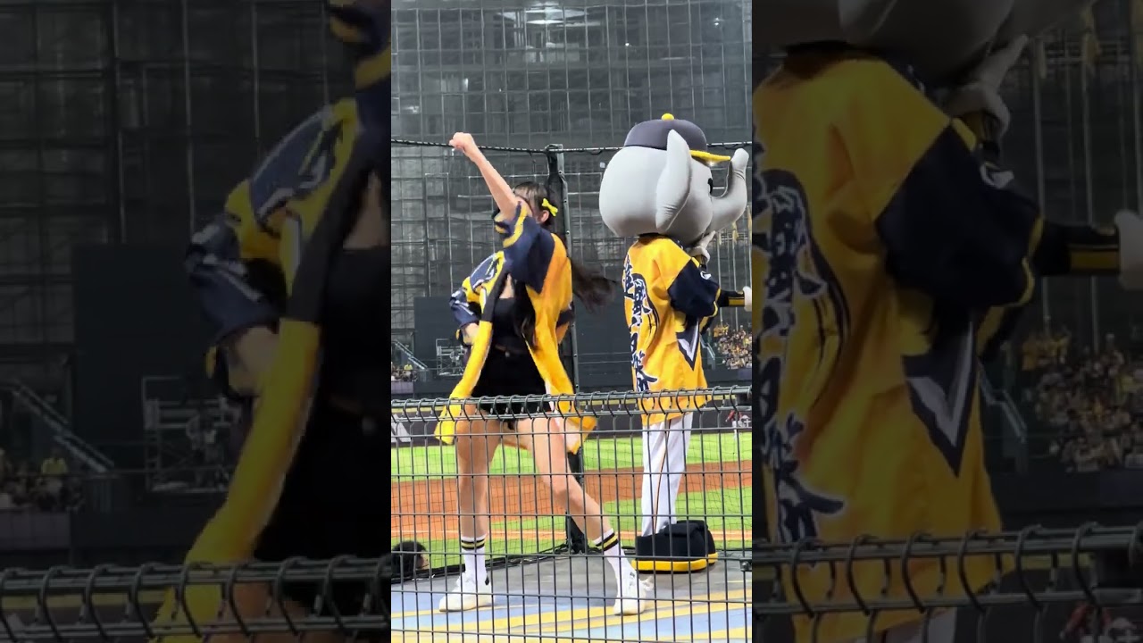 台灣大賽G5 邊荷律변하율 一局下半長達六分鐘『進取勝利』💛