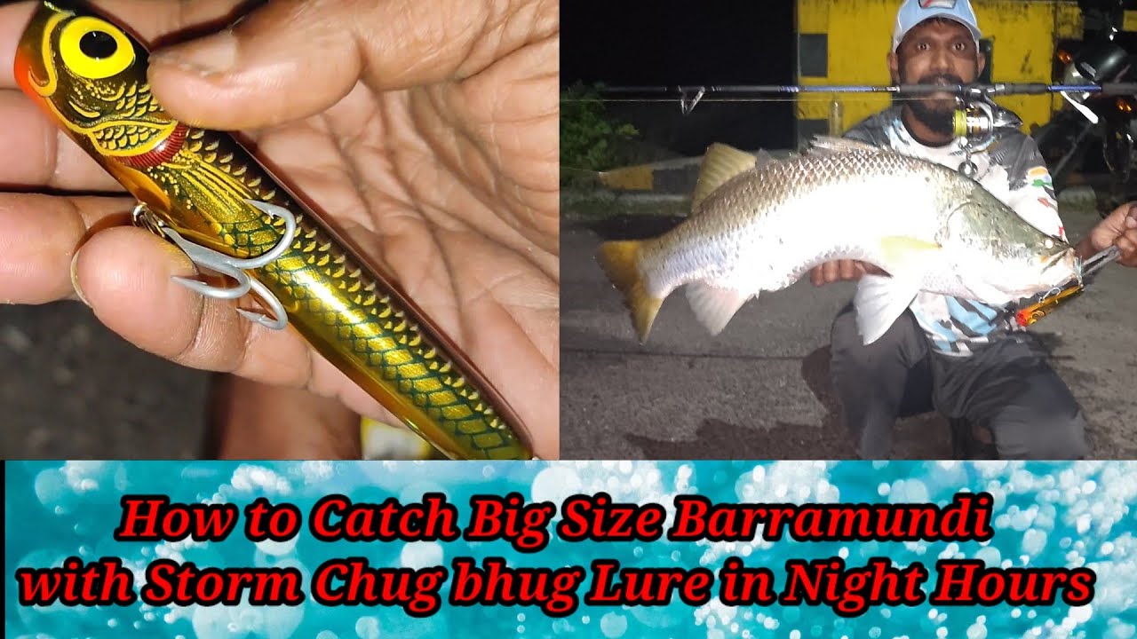 Best Technique for catching Big size Barramundi with Storm Chug Bhug Lure at night hours