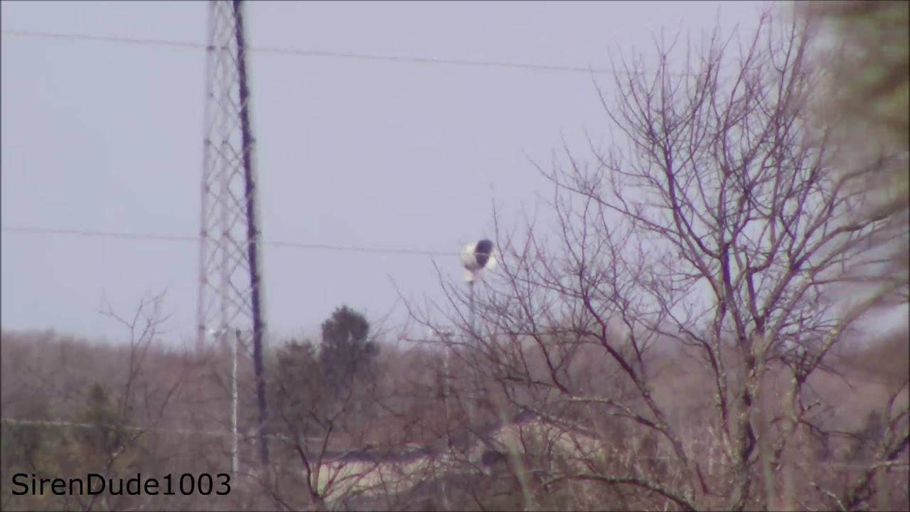 ACA P-50 Ambiance - Alert - Somers, WI