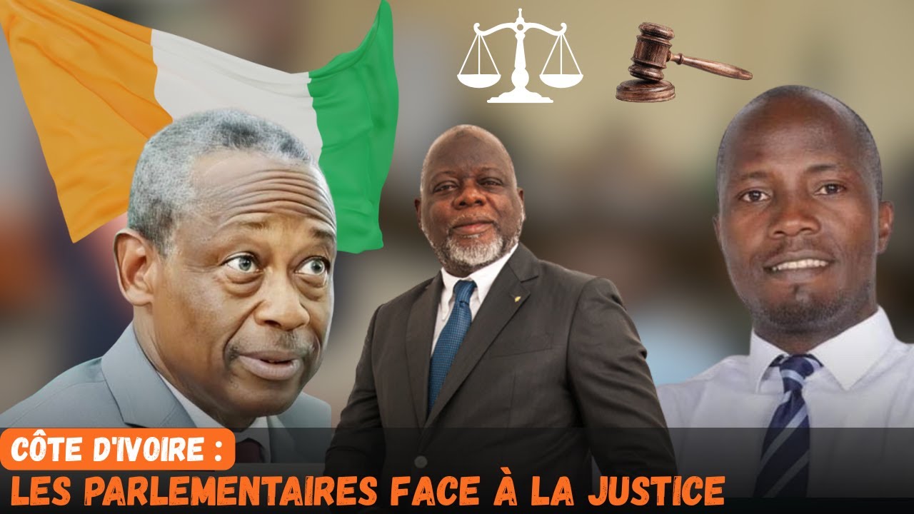 CÔTE D'IVOIRE : LES PARLEMAIRES FACE A LA JUSTICE. #cotedivoire #burkinafaso #france