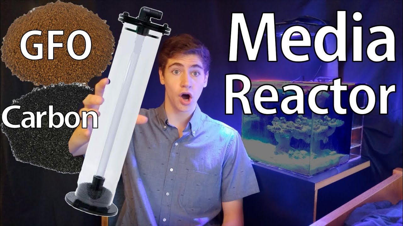 How to Set Up a Media Reactor with GFO or Carbon -from TB Aquatics