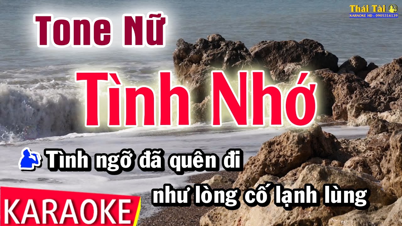 Karaoke Tình Nhớ Tone Nữ | Thái Tài
