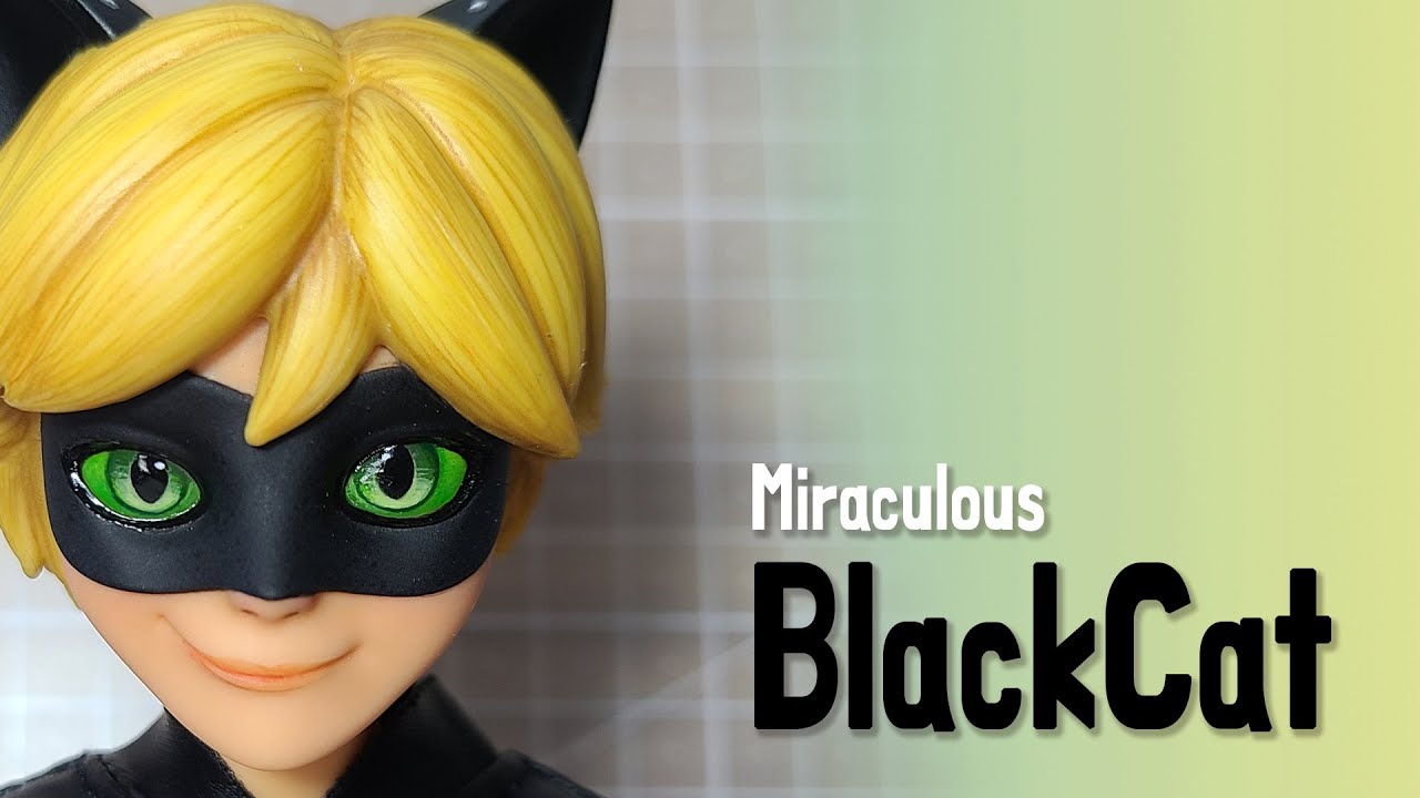 싄지:)미라큘러스 레이디버그 아드리앙-블랙캣 리페인팅(Miraculous Ladybug Blackcat Repainting)