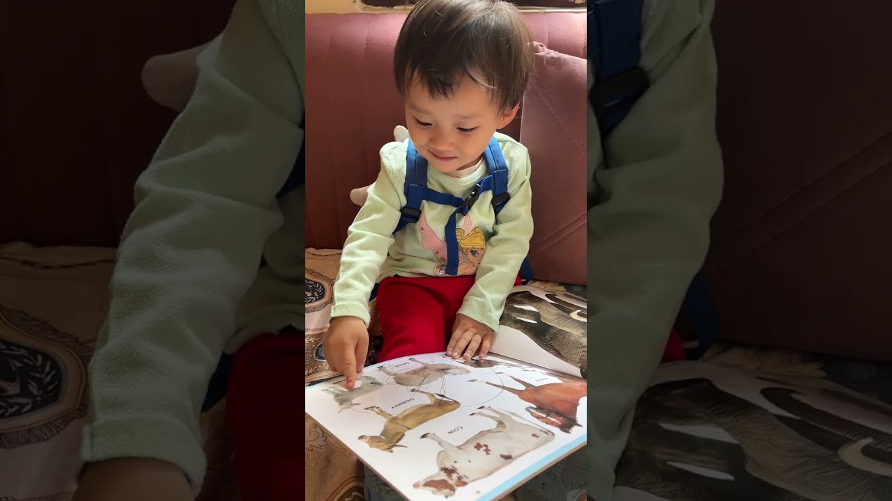 Hannah’s delhi diaries 😍#delhi #babiesoftiktok #familyfun 