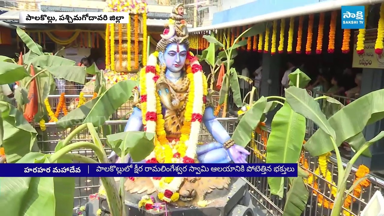 RK Roja Maha Shivaratri Celebrations | Massive Devotee Rush at Shiva Temples Across AP &Telangana