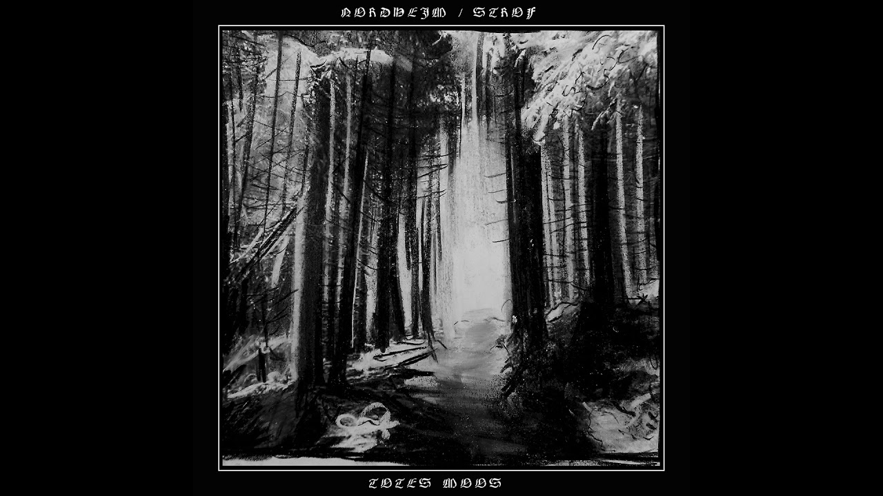 Nordheim / Strof - Totes Moos (Full Split Premiere)