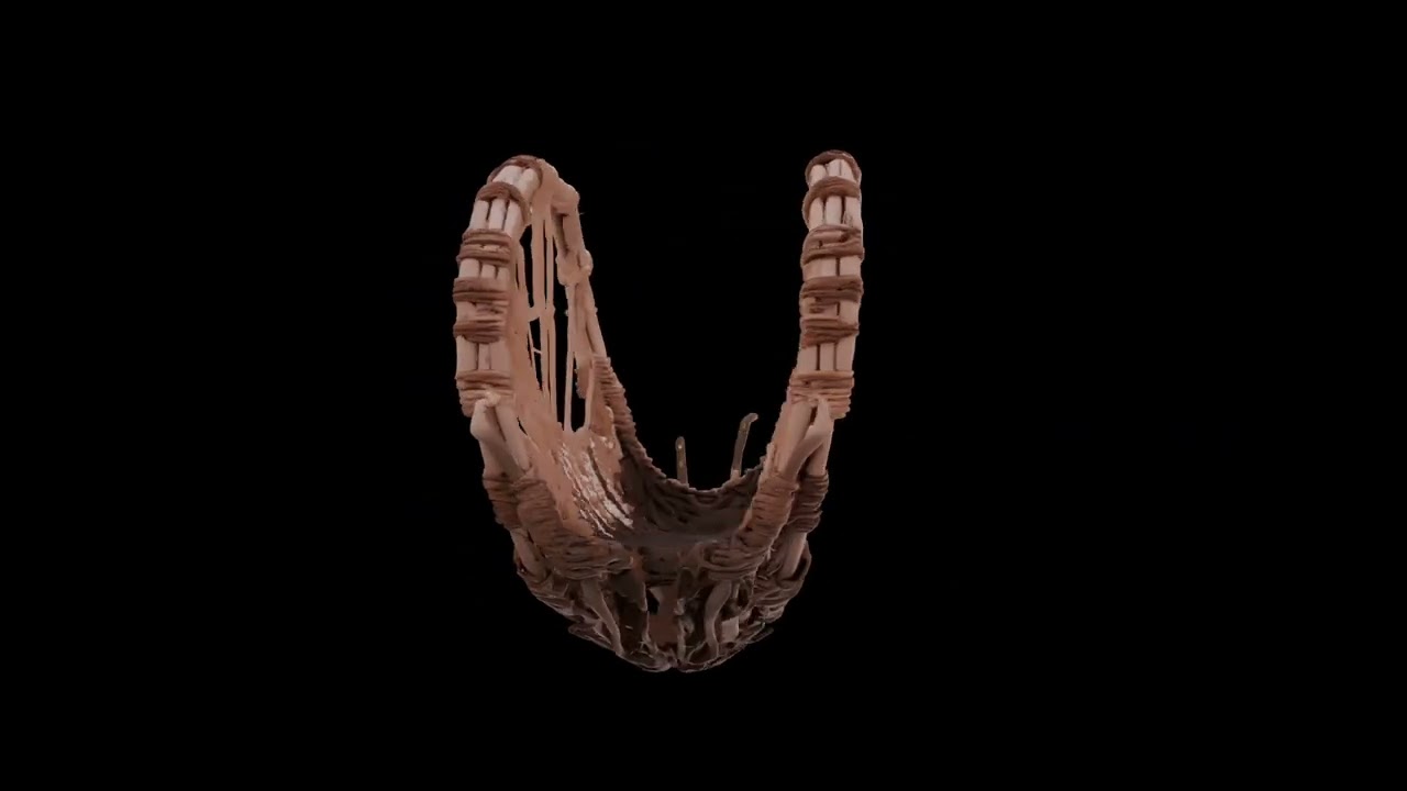 Sinai Basket [Hologram]