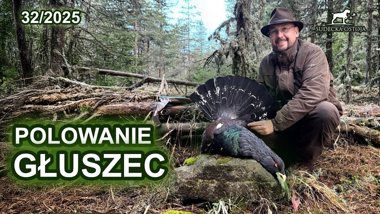 Głuszec - Polowanie na tokach - SUDECKA OSTOJA 32/2025