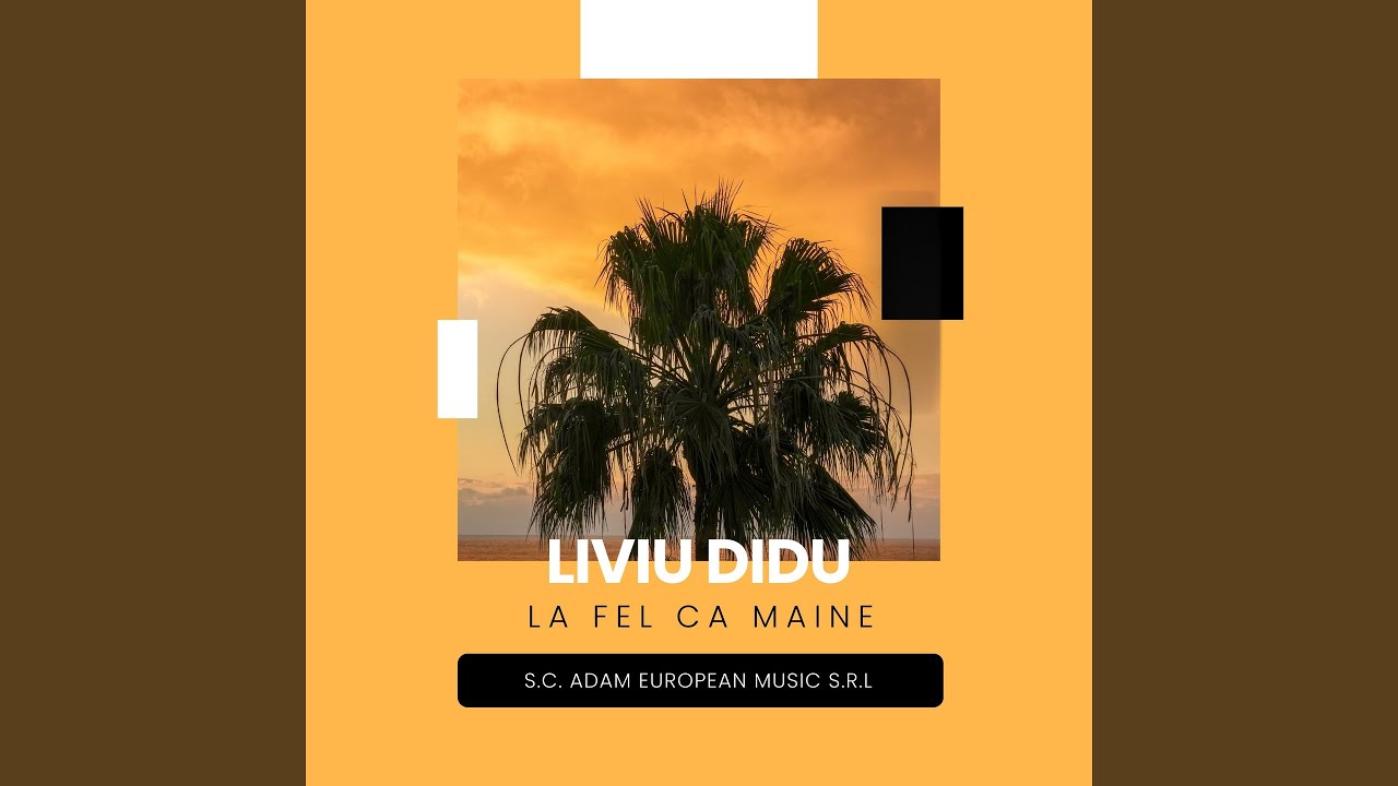 La fel ca maine