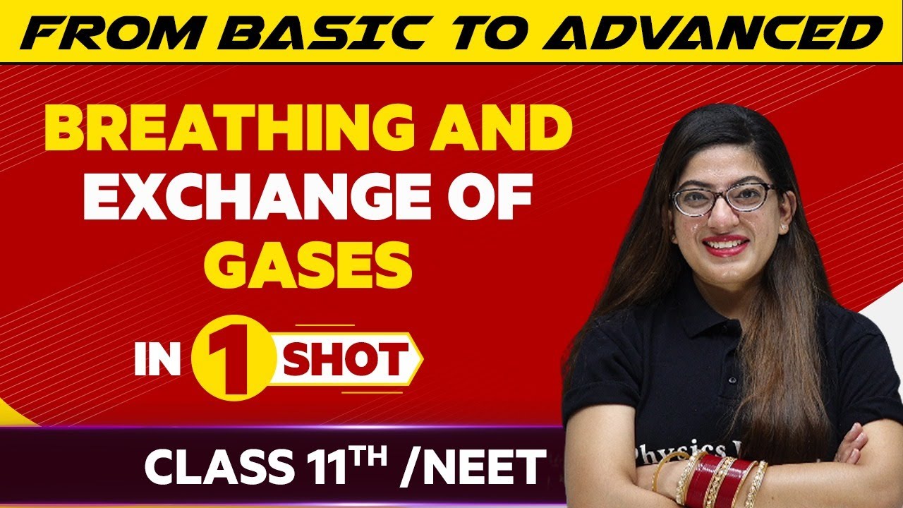 Breathing And Exchange Of Gases In One Shot | JEE/NEET/Class 11th Boards || Victory Batch