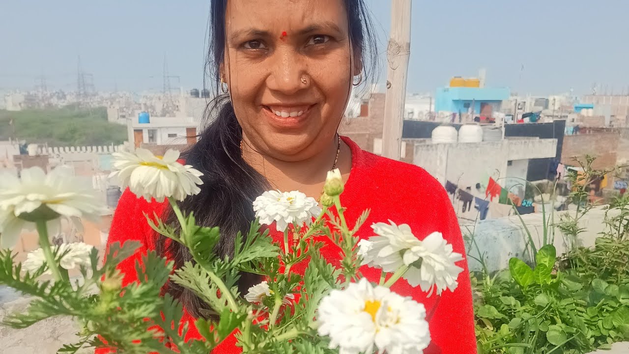 Complete Garden Views in my SR terrace gardening 