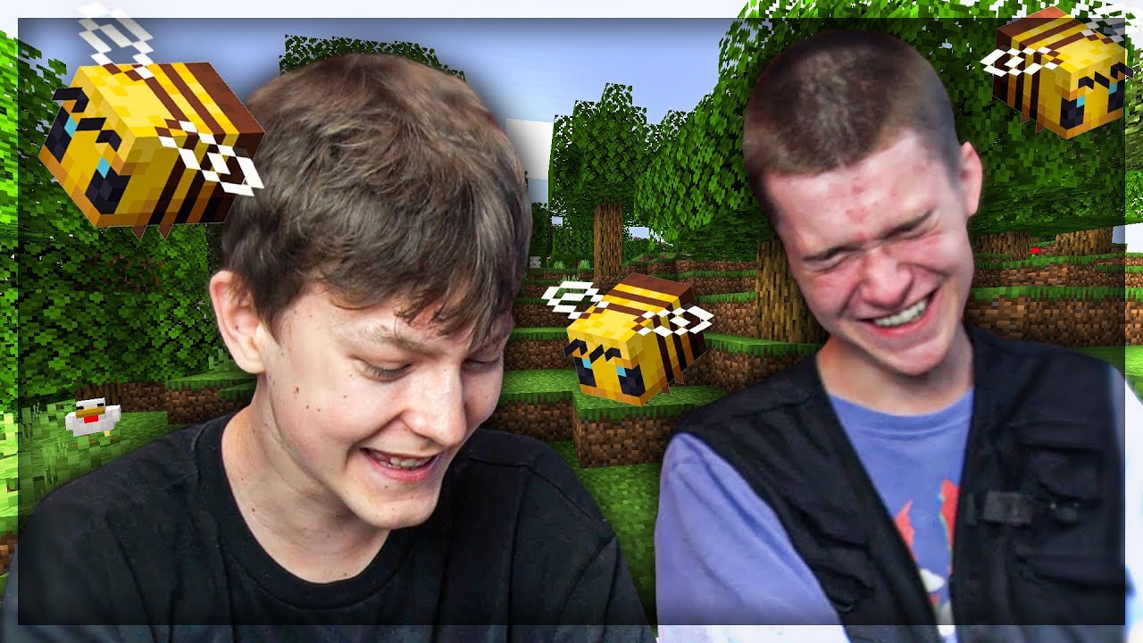 NÁŠ NÁZOR NA VČELY V MINECRAFTU